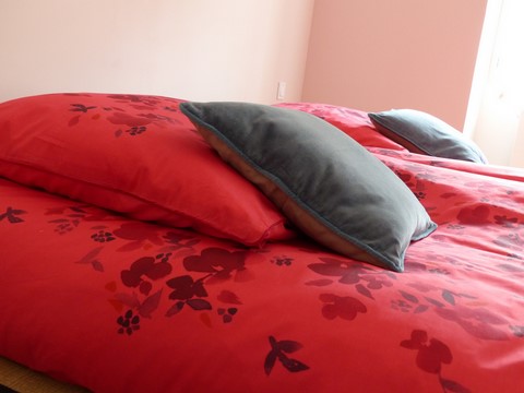 montagne attitude Fuji 2